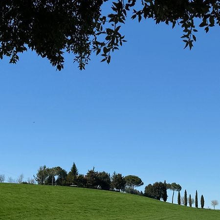 Orvieto Country House Кастільйоне-ін-Теверина Екстер'єр фото
