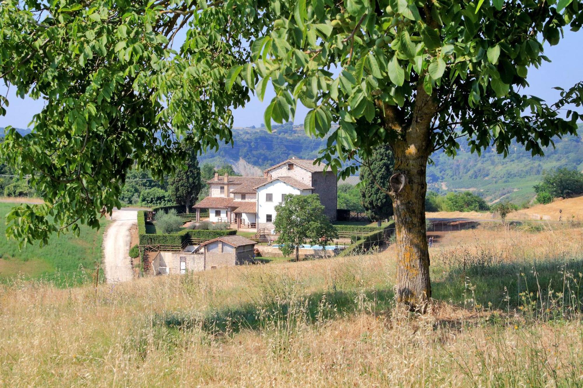 Orvieto Country House Кастільйоне-ін-Теверина Екстер'єр фото