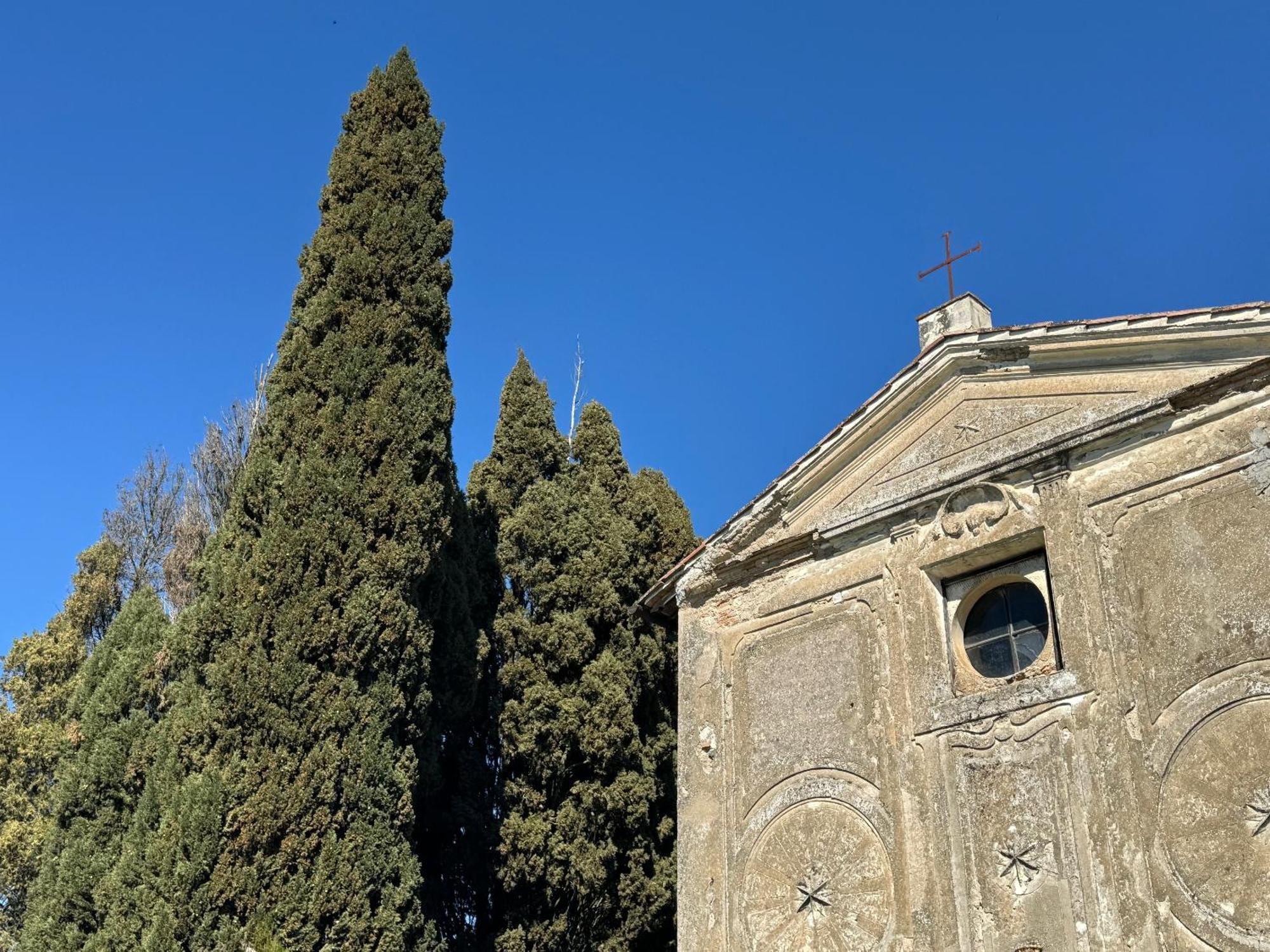 Orvieto Country House Кастільйоне-ін-Теверина Екстер'єр фото