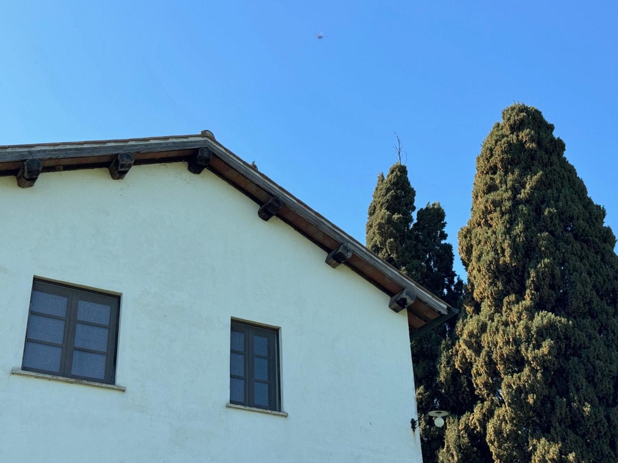 Orvieto Country House Кастільйоне-ін-Теверина Екстер'єр фото