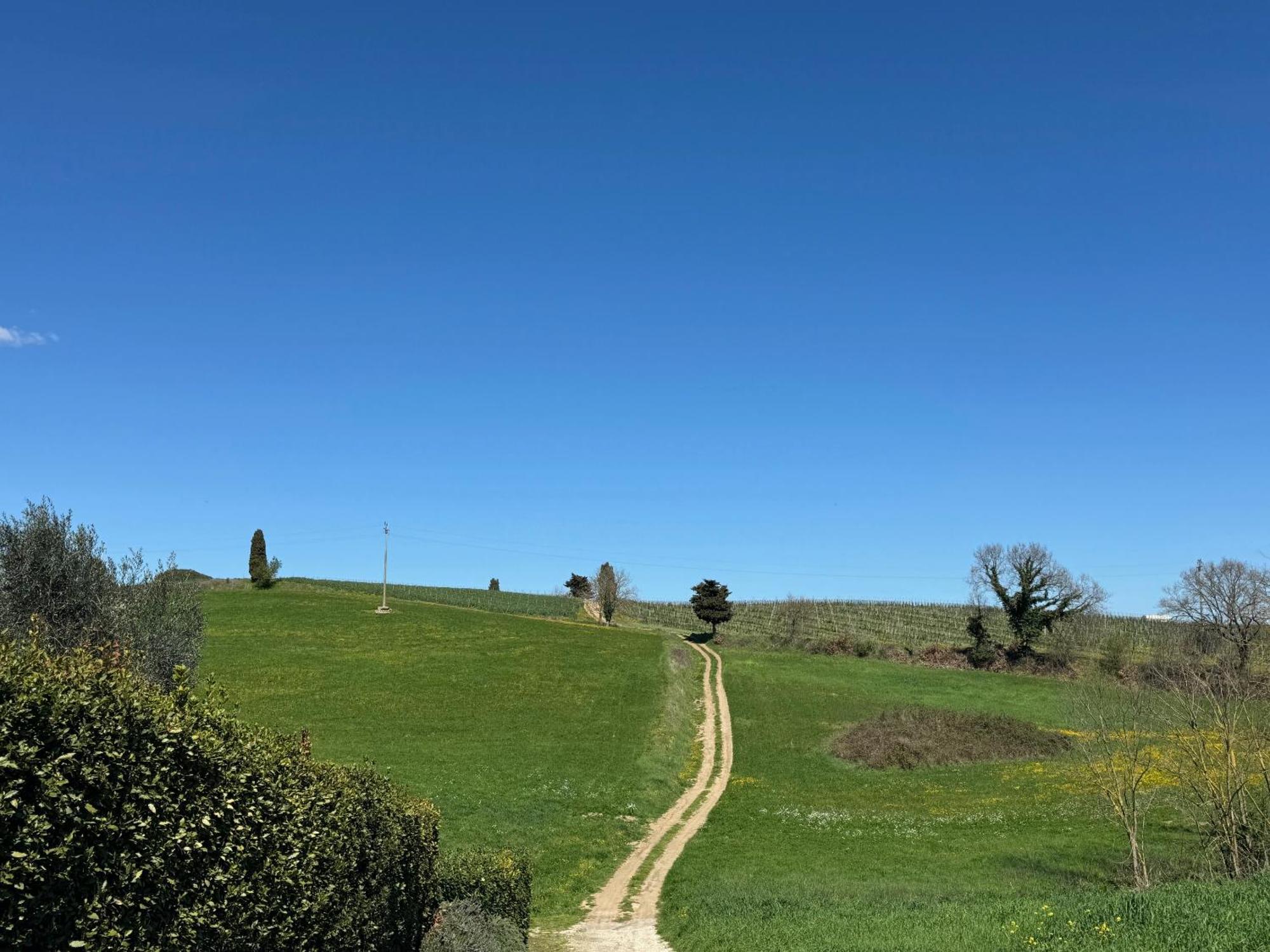 Orvieto Country House Кастільйоне-ін-Теверина Екстер'єр фото