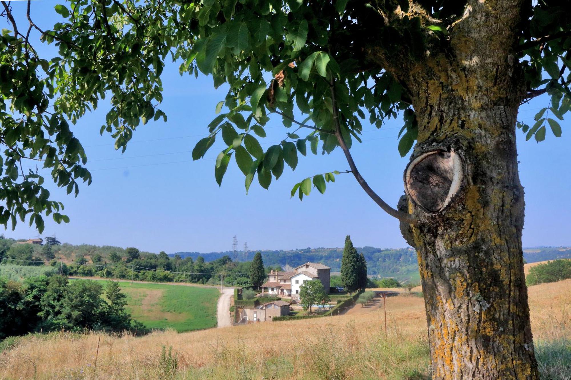 Orvieto Country House Кастільйоне-ін-Теверина Екстер'єр фото