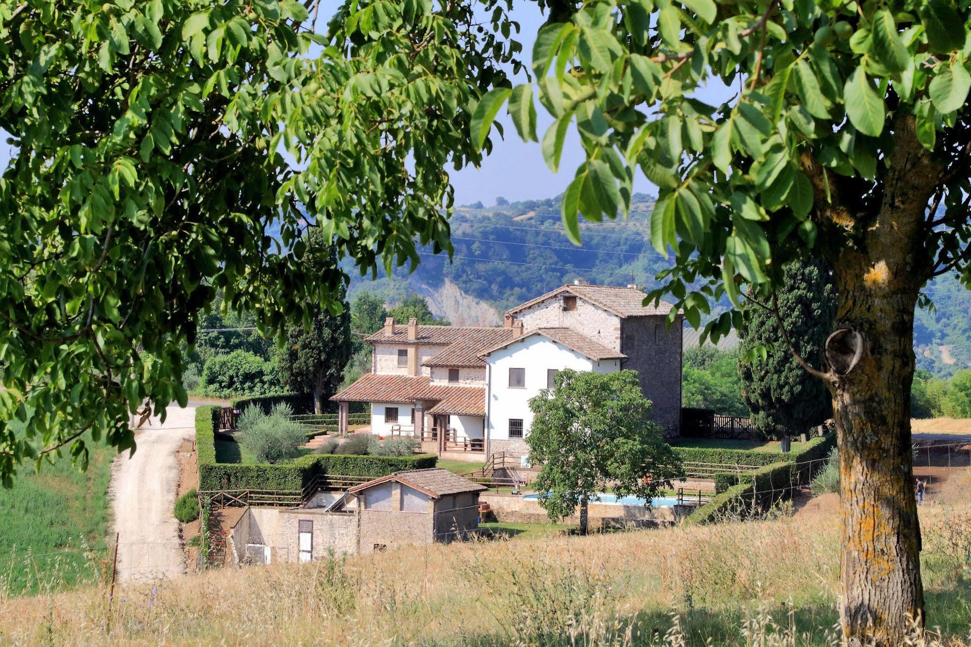 Апартаменти Orvieto Country House Кастільйоне-ін-Теверина Екстер'єр фото