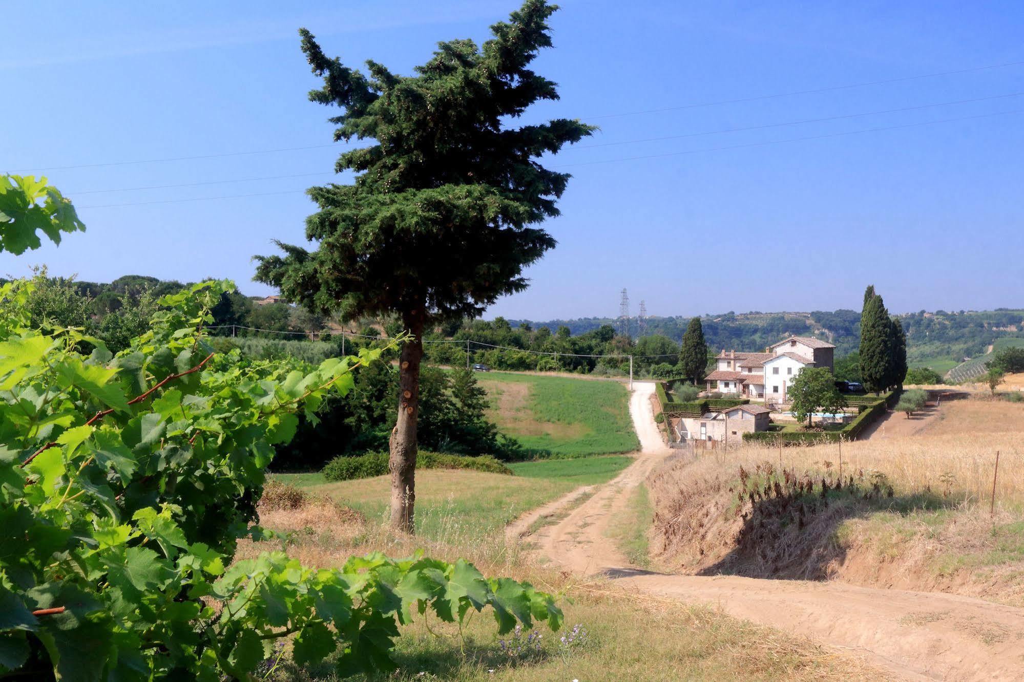 Апартаменти Orvieto Country House Кастільйоне-ін-Теверина Екстер'єр фото